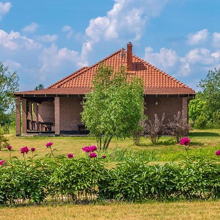 Villa Prie Traku à Petkeniskes Extérieur photo