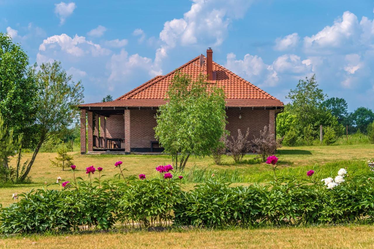 Villa Prie Traku à Petkeniskes Extérieur photo